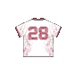 9. ''DRAGON'' JERSEY